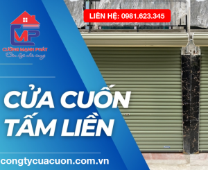 Cửa Cuốn Tấm Liền Giá Rẻ Tại TPHCM